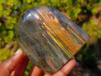 Polished Labradorite Standing Display Pieces x 3 From Madagascar - Toprock Gemstones and Minerals 