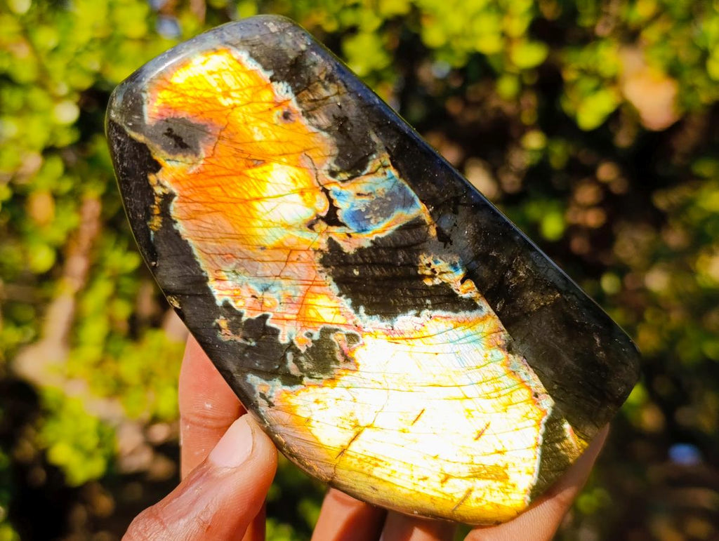 Polished Labradorite Standing Display Pieces x 3 From Madagascar - Toprock Gemstones and Minerals 