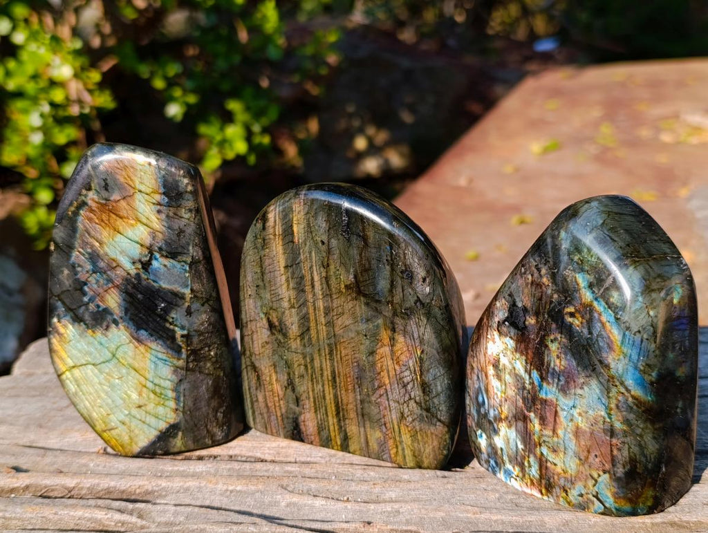 Polished Labradorite Standing Display Pieces x 3 From Madagascar - Toprock Gemstones and Minerals 