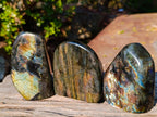 Polished Labradorite Standing Display Pieces x 3 From Madagascar - Toprock Gemstones and Minerals 
