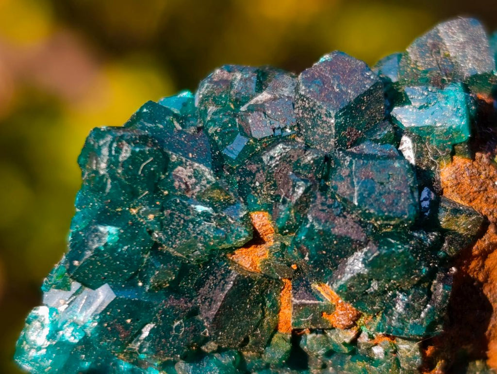 Natural Dioptase on Dolomite Specimens x 6 From Mashamba East Mine, Congo - Toprock Gemstones and Minerals 