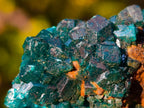 Natural Dioptase on Dolomite Specimens x 6 From Mashamba East Mine, Congo - Toprock Gemstones and Minerals 