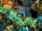 Natural Dioptase on Dolomite Specimens x 6 From Mashamba East Mine, Congo - Toprock Gemstones and Minerals 