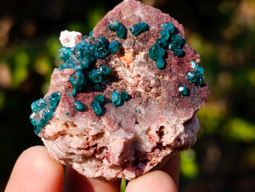 Natural Dioptase on Dolomite Specimens x 6 From Mashamba East Mine, Congo - Toprock Gemstones and Minerals 