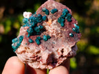 Natural Dioptase on Dolomite Specimens x 6 From Mashamba East Mine, Congo - Toprock Gemstones and Minerals 