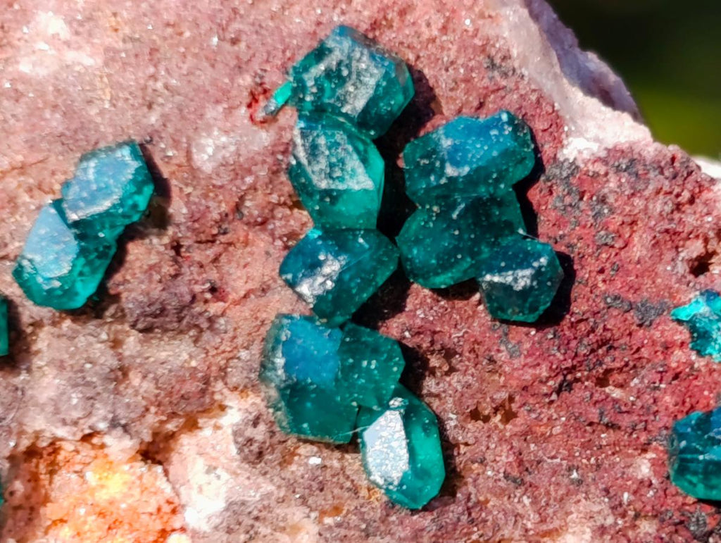 Natural Dioptase on Dolomite Specimens x 6 From Mashamba East Mine, Congo - Toprock Gemstones and Minerals 