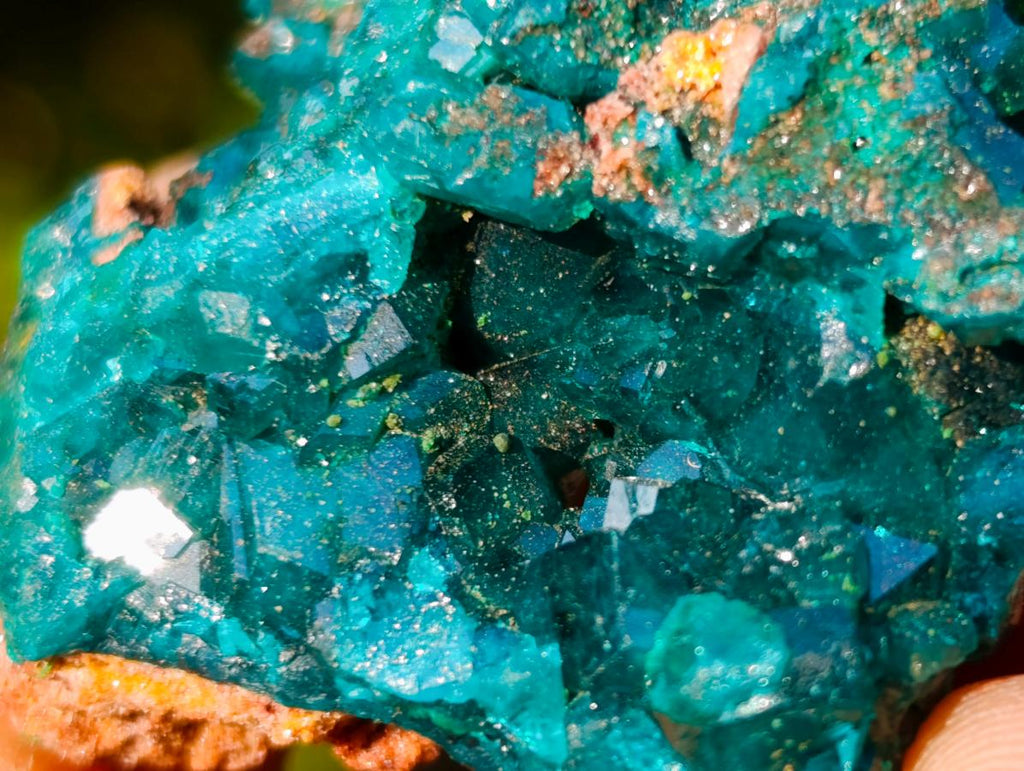 Natural Dioptase on Dolomite Specimens x 6 From Mashamba East Mine, Congo - Toprock Gemstones and Minerals 