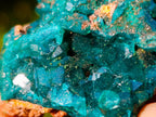 Natural Dioptase on Dolomite Specimens x 6 From Mashamba East Mine, Congo - Toprock Gemstones and Minerals 
