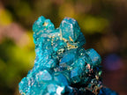 Natural Dioptase on Dolomite Specimens x 6 From Mashamba East Mine, Congo - Toprock Gemstones and Minerals 