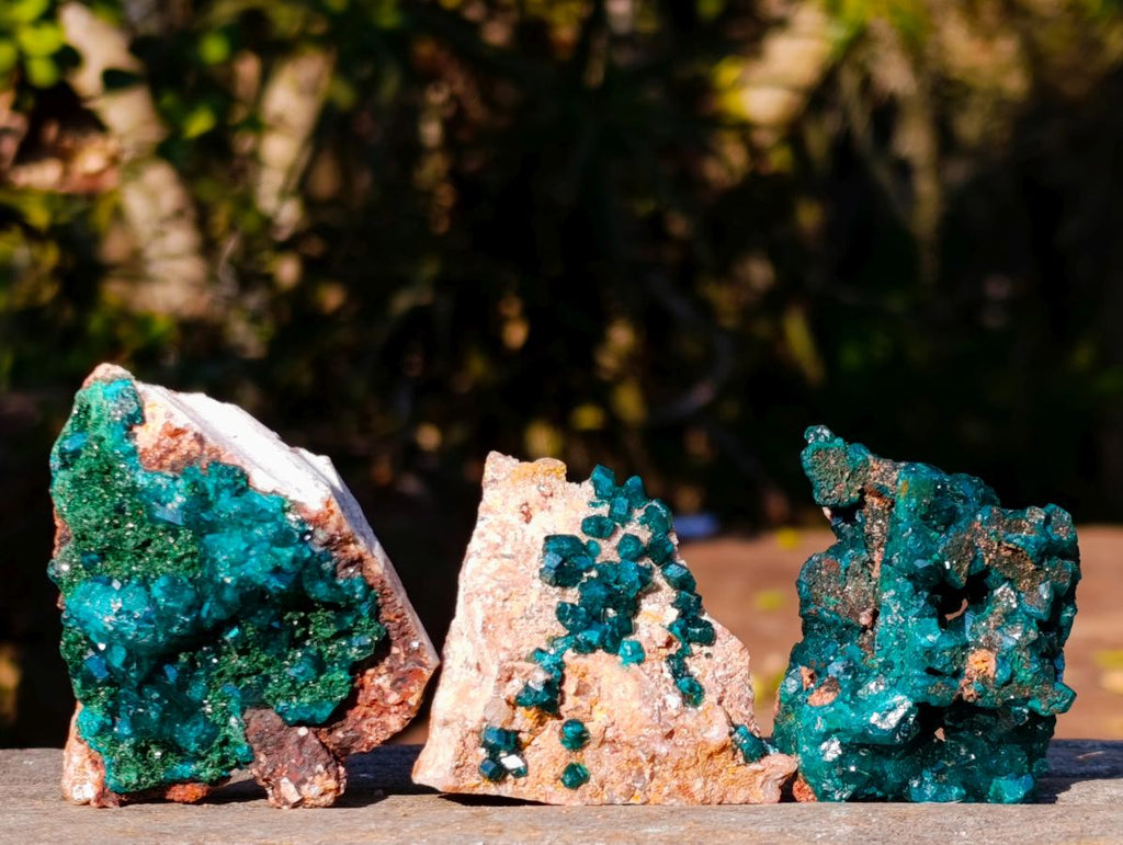 Natural Dioptase on Dolomite Specimens x 6 From Mashamba East Mine, Congo - Toprock Gemstones and Minerals 