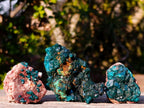 Natural Dioptase on Dolomite Specimens x 6 From Mashamba East Mine, Congo - Toprock Gemstones and Minerals 