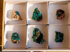 Natural Dioptase on Dolomite Specimens x 6 From Mashamba East Mine, Congo - Toprock Gemstones and Minerals 