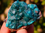 Natural Dioptase on Dolomite Specimens x 6 From Mashamba East Mine, Congo - Toprock Gemstones and Minerals 