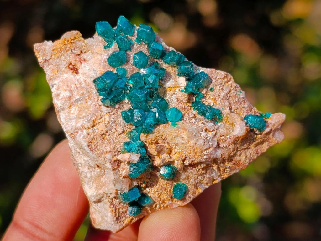 Natural Dioptase on Dolomite Specimens x 6 From Mashamba East Mine, Congo - Toprock Gemstones and Minerals 