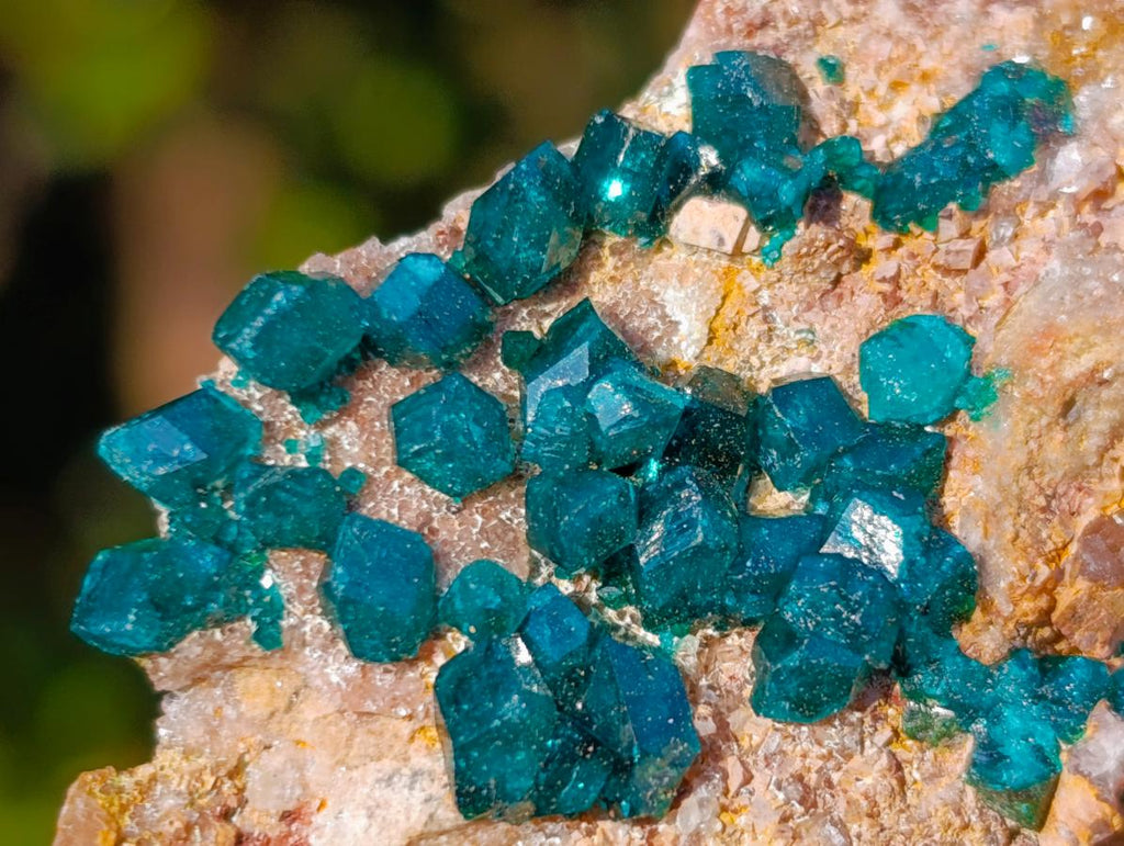Natural Dioptase on Dolomite Specimens x 6 From Mashamba East Mine, Congo - Toprock Gemstones and Minerals 