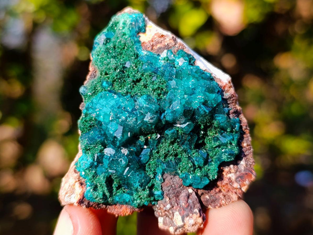 Natural Dioptase on Dolomite Specimens x 6 From Mashamba East Mine, Congo - Toprock Gemstones and Minerals 