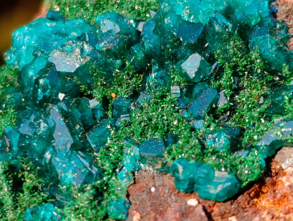 Natural Dioptase on Dolomite Specimens x 6 From Mashamba East Mine, Congo - Toprock Gemstones and Minerals 