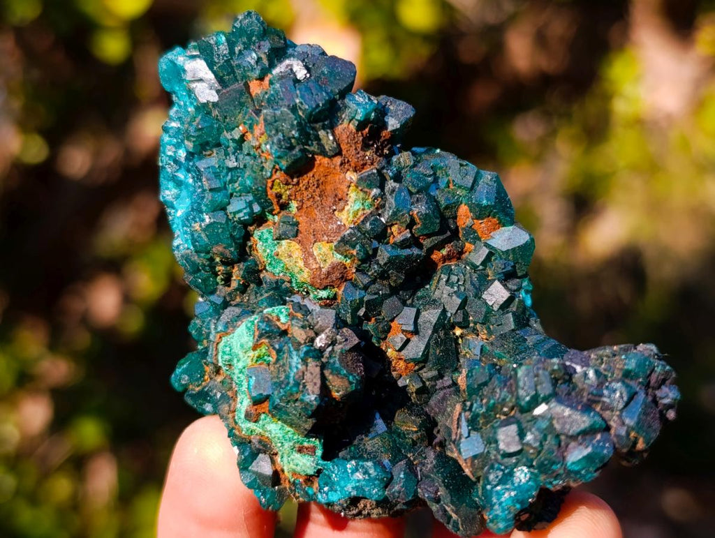 Natural Dioptase on Dolomite Specimens x 6 From Mashamba East Mine, Congo - Toprock Gemstones and Minerals 