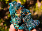 Natural Dioptase on Dolomite Specimens x 6 From Mashamba East Mine, Congo - Toprock Gemstones and Minerals 