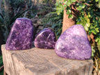 Polished Lepidolite Standing Display Pieces and Free Forms x 4 From Zimbabwe - Toprock Gemstones and Minerals 