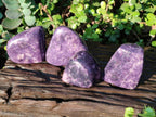 Polished Lepidolite Standing Display Pieces and Free Forms x 4 From Zimbabwe - Toprock Gemstones and Minerals 