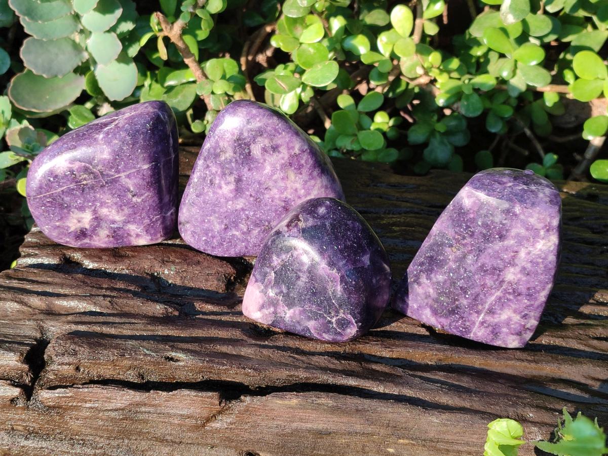 Polished Lepidolite Standing Display Pieces and Free Forms x 4 From Zimbabwe - Toprock Gemstones and Minerals 