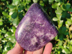Polished Lepidolite Standing Display Pieces and Free Forms x 4 From Zimbabwe - Toprock Gemstones and Minerals 