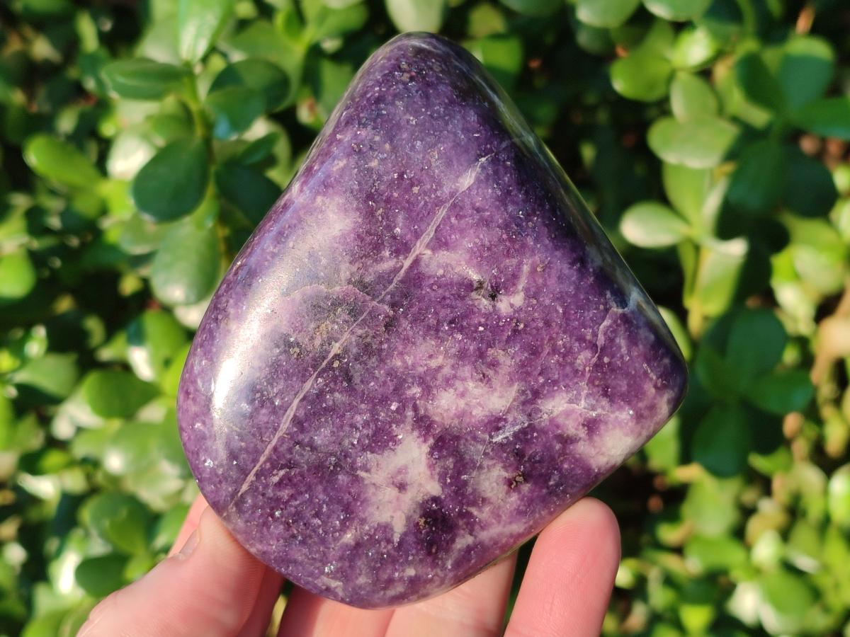 Polished Lepidolite Standing Display Pieces and Free Forms x 4 From Zimbabwe - Toprock Gemstones and Minerals 