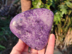 Polished Lepidolite Standing Display Pieces and Free Forms x 4 From Zimbabwe - Toprock Gemstones and Minerals 