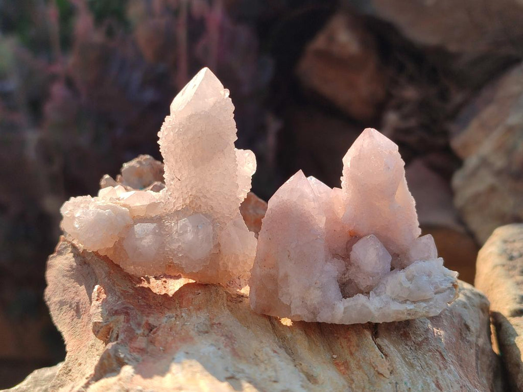 Natural White Spirit Quartz Crystal Clusters x 38 From Boekenhouthoek, South Africa - Toprock Gemstones and Minerals 