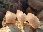 Natural White Spirit Quartz Crystal Clusters x 38 From Boekenhouthoek, South Africa - Toprock Gemstones and Minerals 