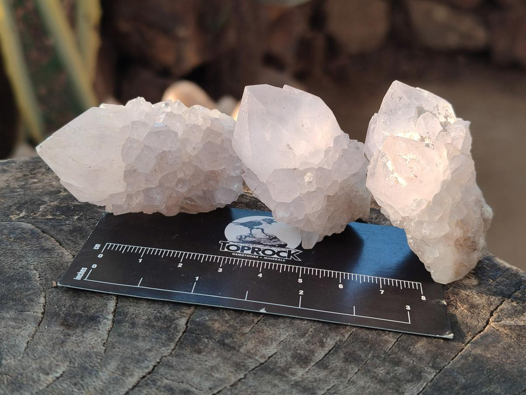 Natural White Spirit Quartz Crystal Clusters x 38 From Boekenhouthoek, South Africa - Toprock Gemstones and Minerals 