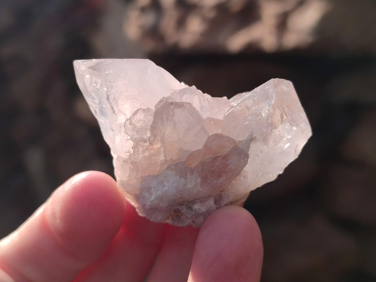 Natural White Spirit Quartz Crystal Clusters x 38 From Boekenhouthoek, South Africa - Toprock Gemstones and Minerals 