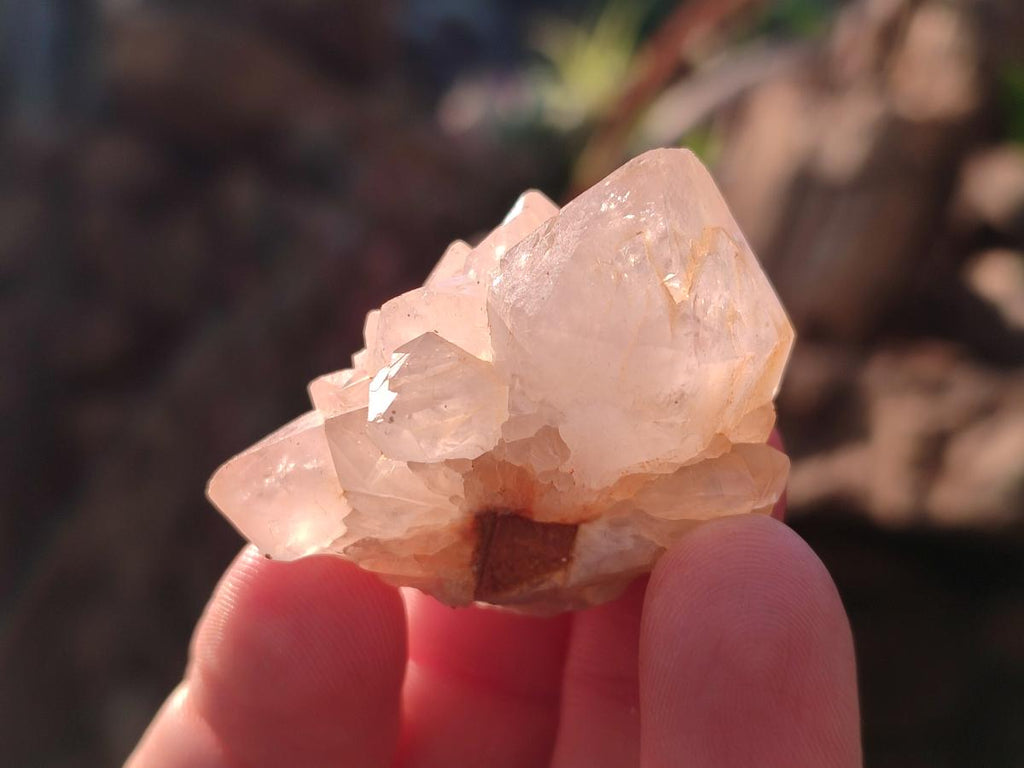 Natural White Spirit Quartz Crystal Clusters x 38 From Boekenhouthoek, South Africa - Toprock Gemstones and Minerals 
