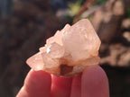 Natural White Spirit Quartz Crystal Clusters x 38 From Boekenhouthoek, South Africa - Toprock Gemstones and Minerals 