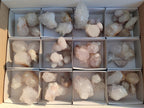 Natural White Spirit Quartz Crystal Clusters x 38 From Boekenhouthoek, South Africa - Toprock Gemstones and Minerals 