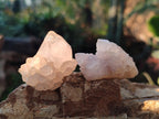 Natural White Spirit Quartz Crystal Clusters x 38 From Boekenhouthoek, South Africa - Toprock Gemstones and Minerals 