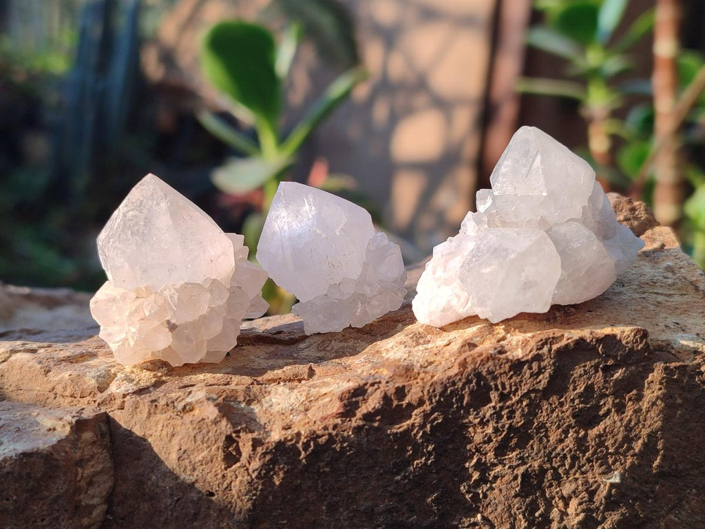 Natural White Spirit Quartz Crystal Clusters x 38 From Boekenhouthoek, South Africa - Toprock Gemstones and Minerals 
