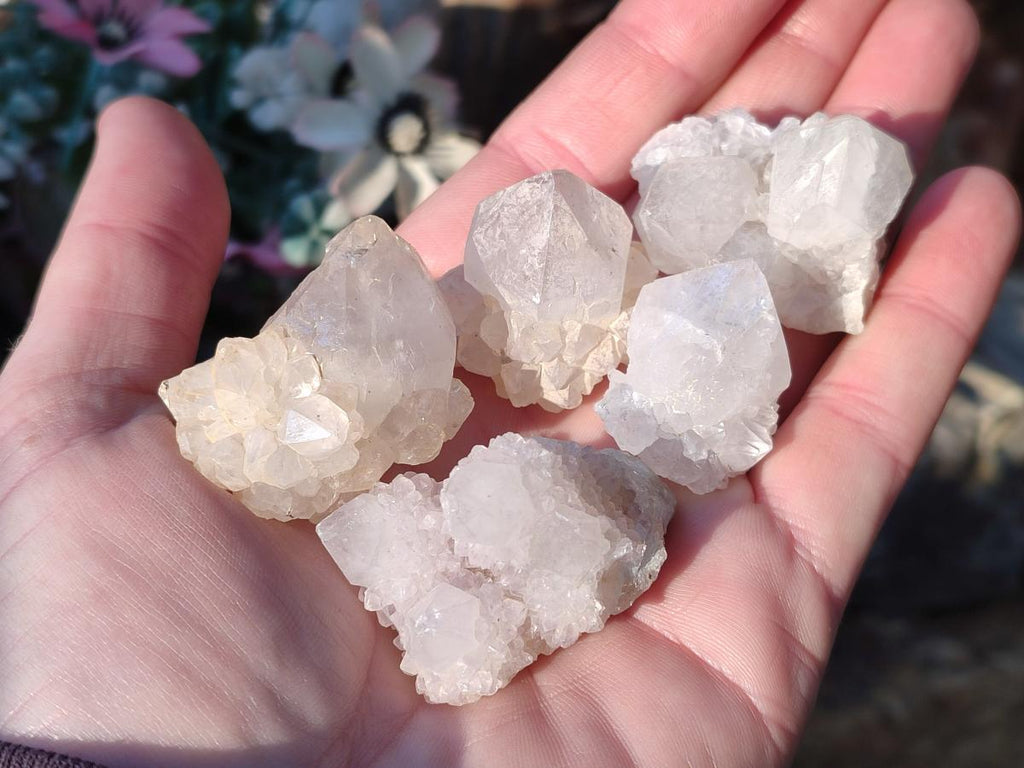 Natural White Spirit Quartz Crystal Clusters x 38 From Boekenhouthoek, South Africa - Toprock Gemstones and Minerals 