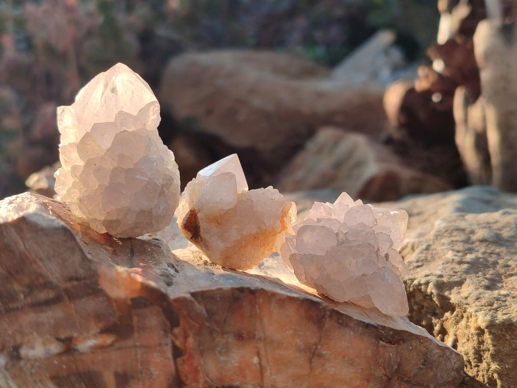 Natural White Spirit Quartz Crystal Clusters x 38 From Boekenhouthoek, South Africa - Toprock Gemstones and Minerals 