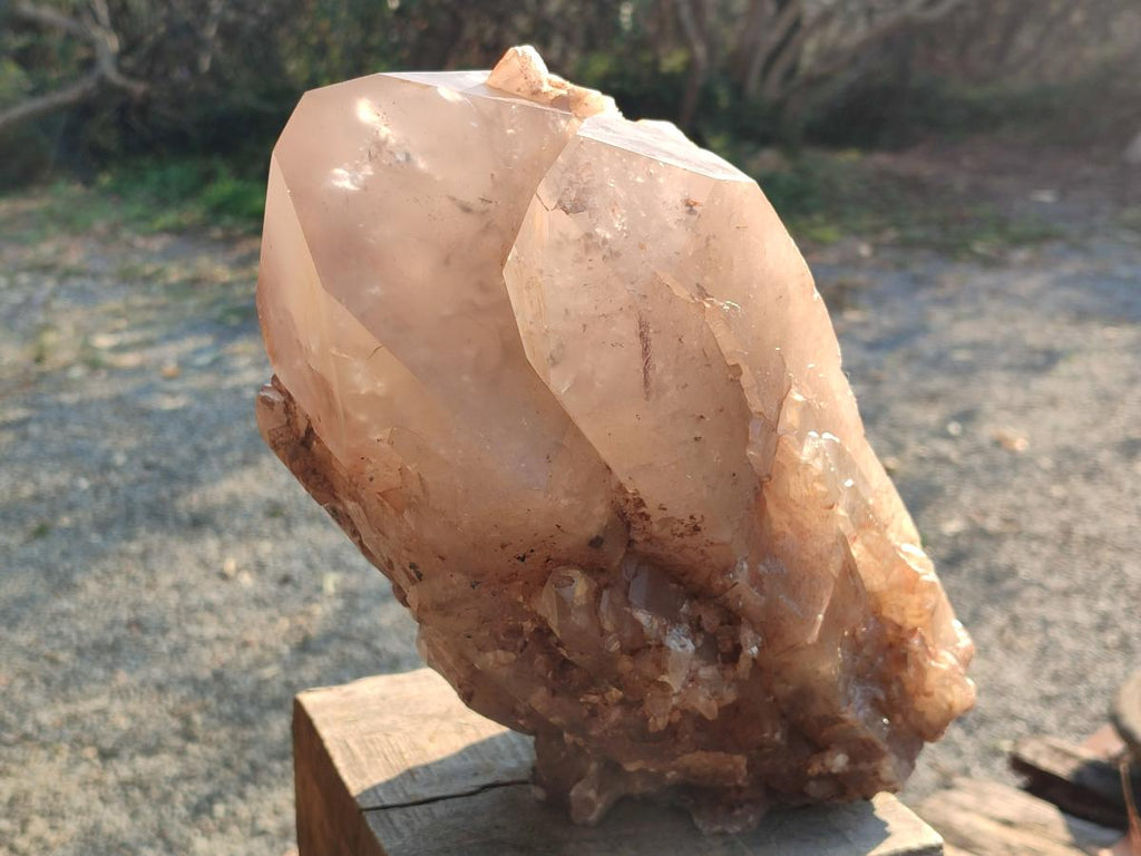 Natural XL Cascading Smokey Angolan Quartz Floater Crystal with Polished Terminations x 1 From Angola - Toprock Gemstones and Minerals 