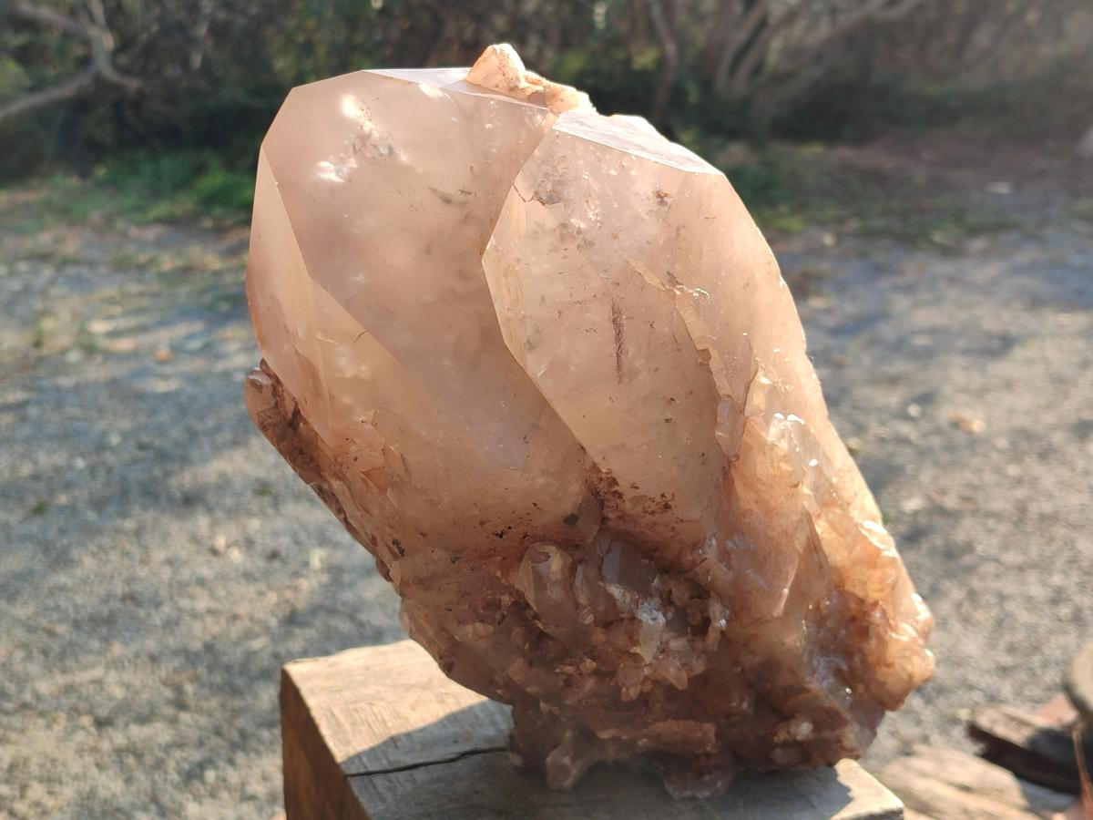 Natural XL Cascading Smokey Angolan Quartz Floater Crystal with Polished Terminations x 1 From Angola - Toprock Gemstones and Minerals 