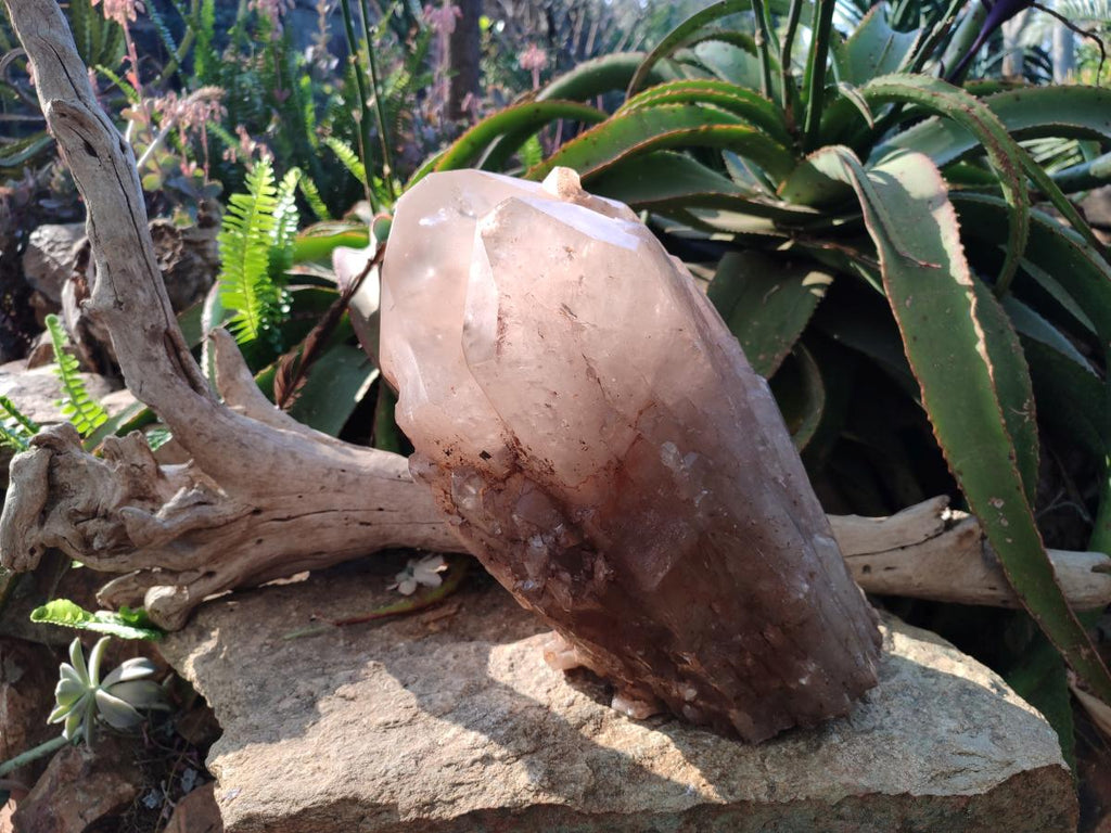 Natural XL Cascading Smokey Angolan Quartz Floater Crystal with Polished Terminations x 1 From Angola - Toprock Gemstones and Minerals 