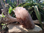 Natural XL Cascading Smokey Angolan Quartz Floater Crystal with Polished Terminations x 1 From Angola - Toprock Gemstones and Minerals 