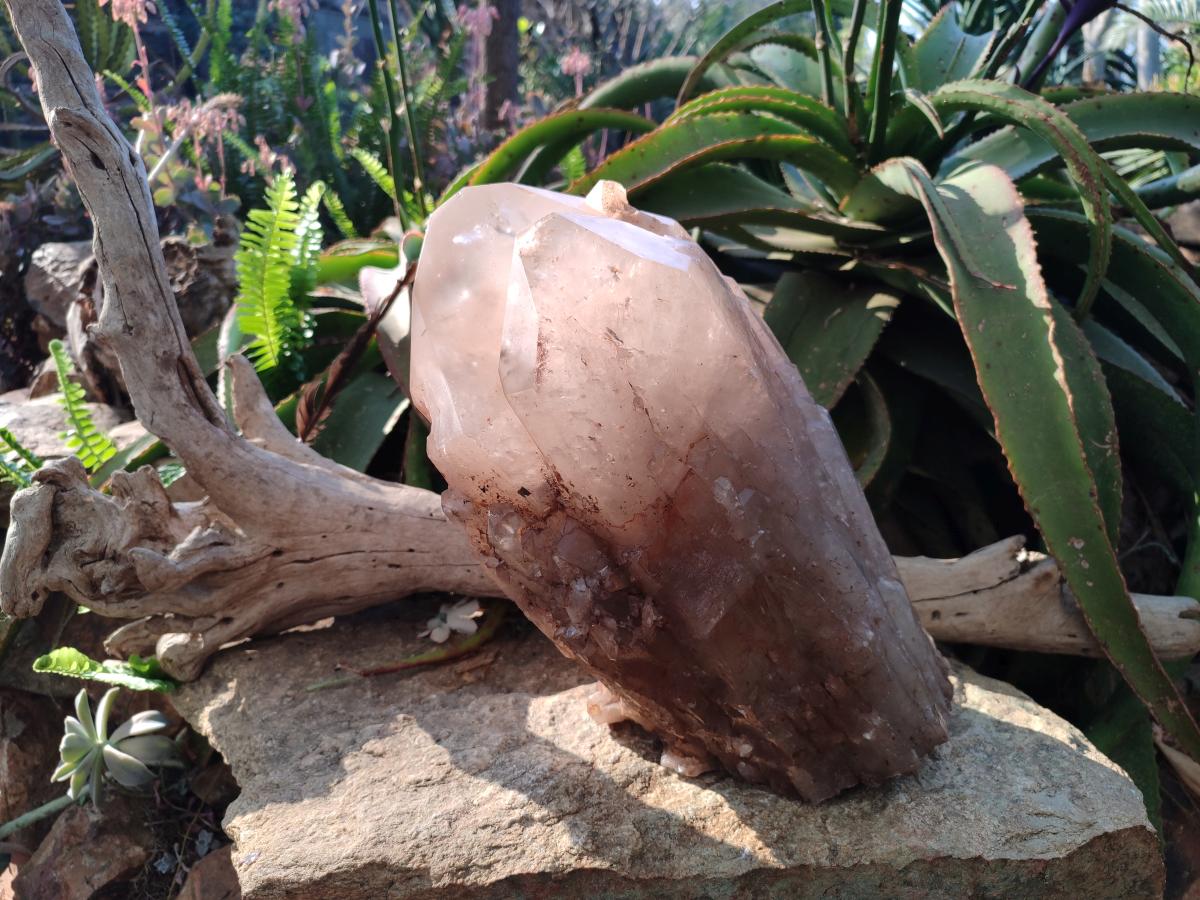 Natural XL Cascading Smokey Angolan Quartz Floater Crystal with Polished Terminations x 1 From Angola - Toprock Gemstones and Minerals 
