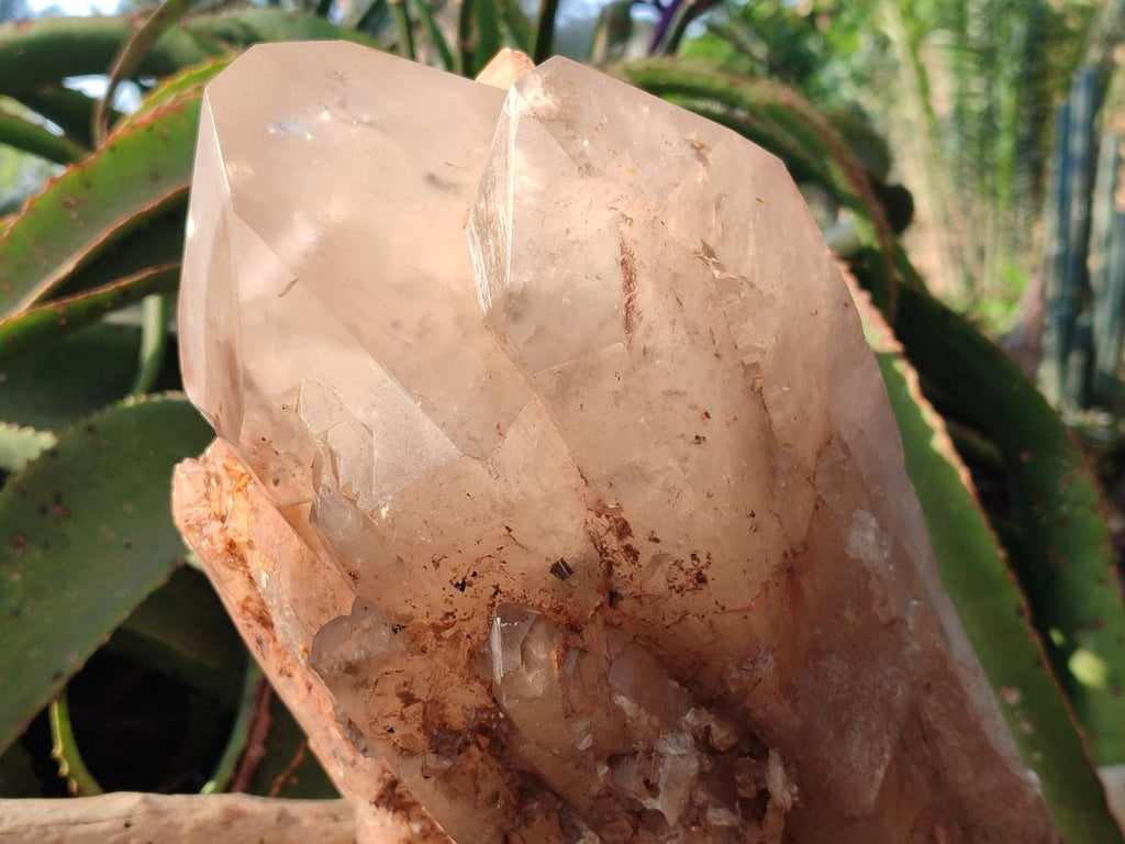 Natural XL Cascading Smokey Angolan Quartz Floater Crystal with Polished Terminations x 1 From Angola - Toprock Gemstones and Minerals 