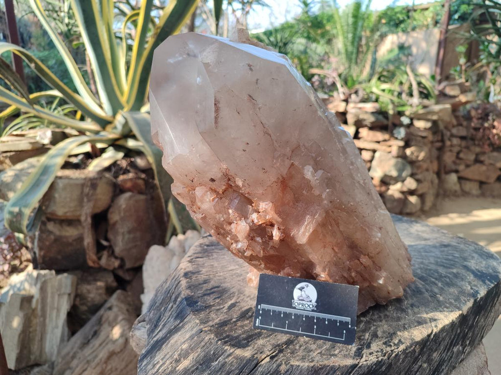 Natural XL Cascading Smokey Angolan Quartz Floater Crystal with Polished Terminations x 1 From Angola - Toprock Gemstones and Minerals 