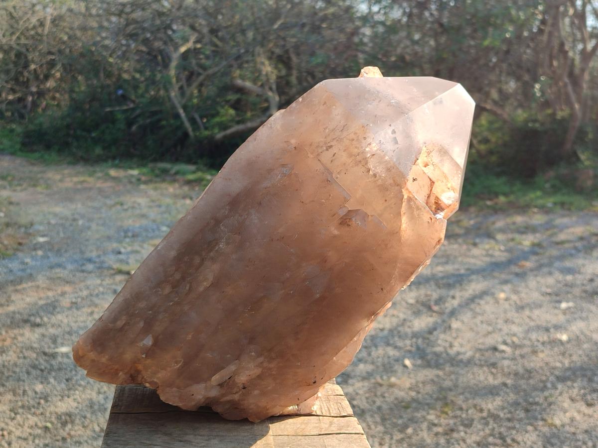 Natural XL Cascading Smokey Angolan Quartz Floater Crystal with Polished Terminations x 1 From Angola - Toprock Gemstones and Minerals 