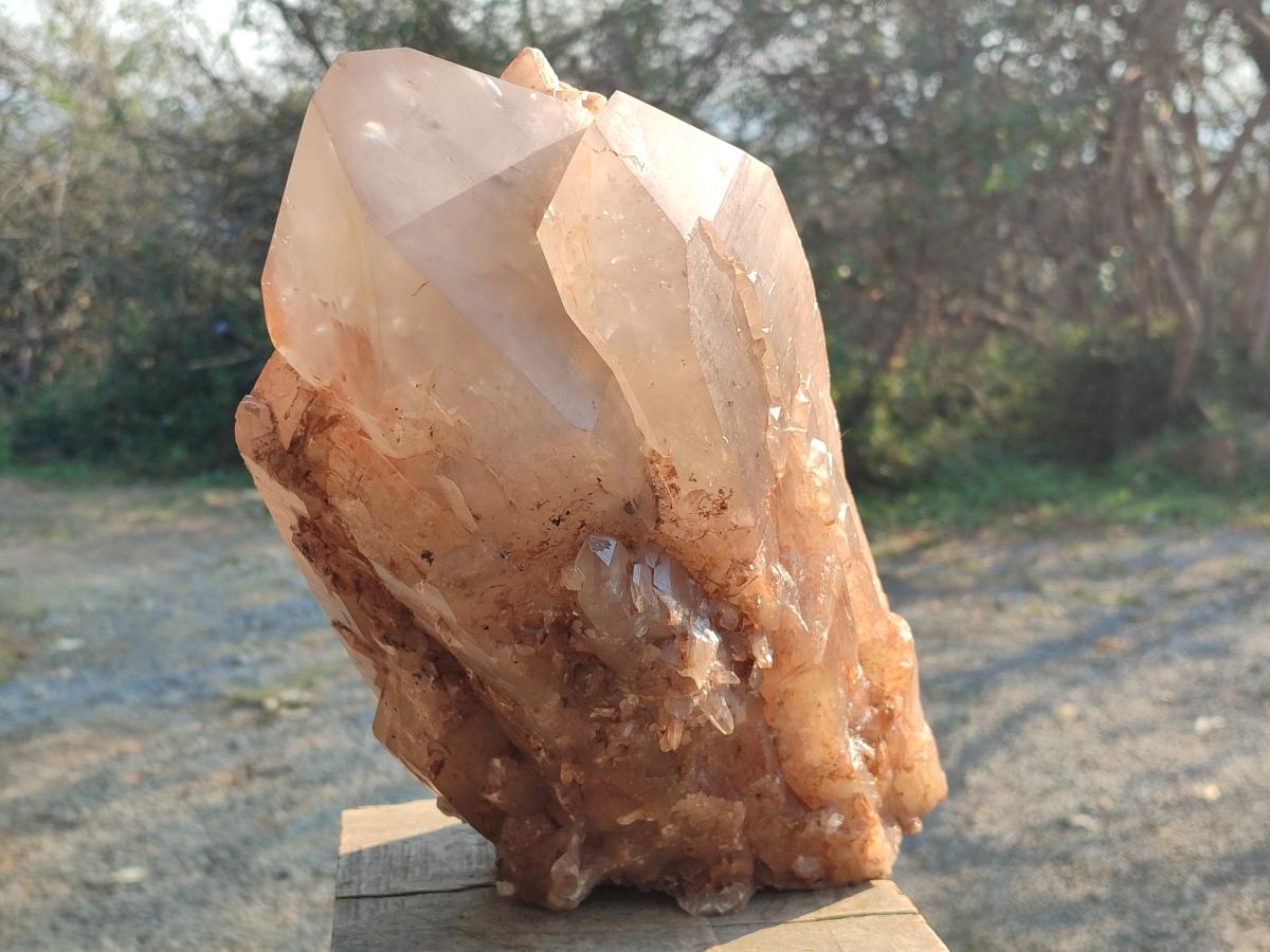 Natural XL Cascading Smokey Angolan Quartz Floater Crystal with Polished Terminations x 1 From Angola - Toprock Gemstones and Minerals 