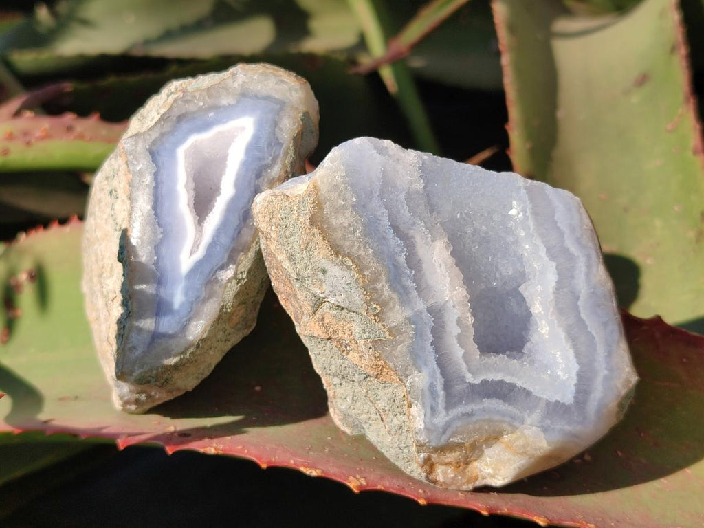 Polished One Side Blue Lace Agate Geodes x 12 From Nsanje, Malawi - Toprock Gemstones and Minerals 